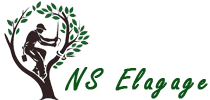 elagage-ns-elagage